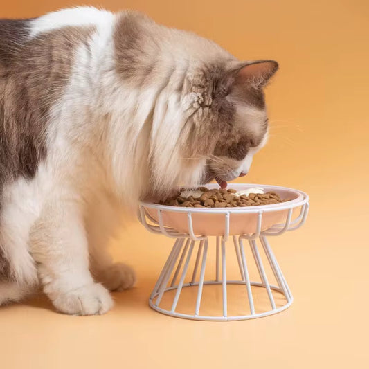 Ceramic Pet Bowls Simple Pet Bowls