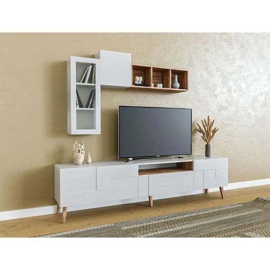 Modern TV Stand and Cabinet