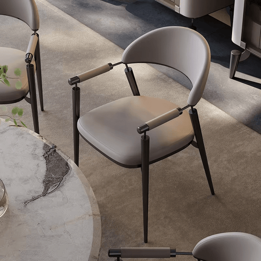Modern Dining Chairs