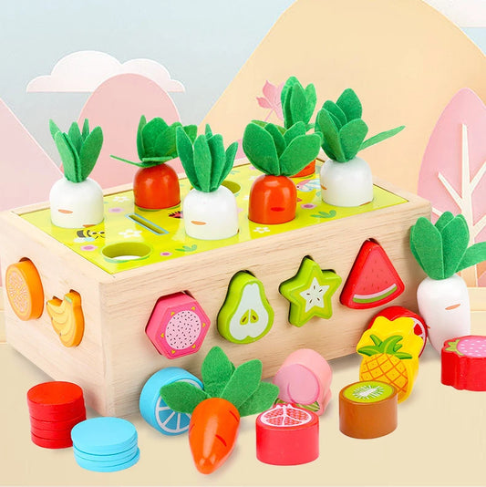 Sorting Blocks for Kids Educational Toys