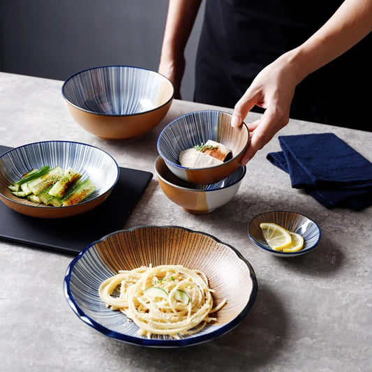 Japanese Dinnerware Modern Dinnerware