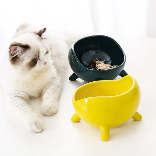 Ceramic Pet Bowl with Stand