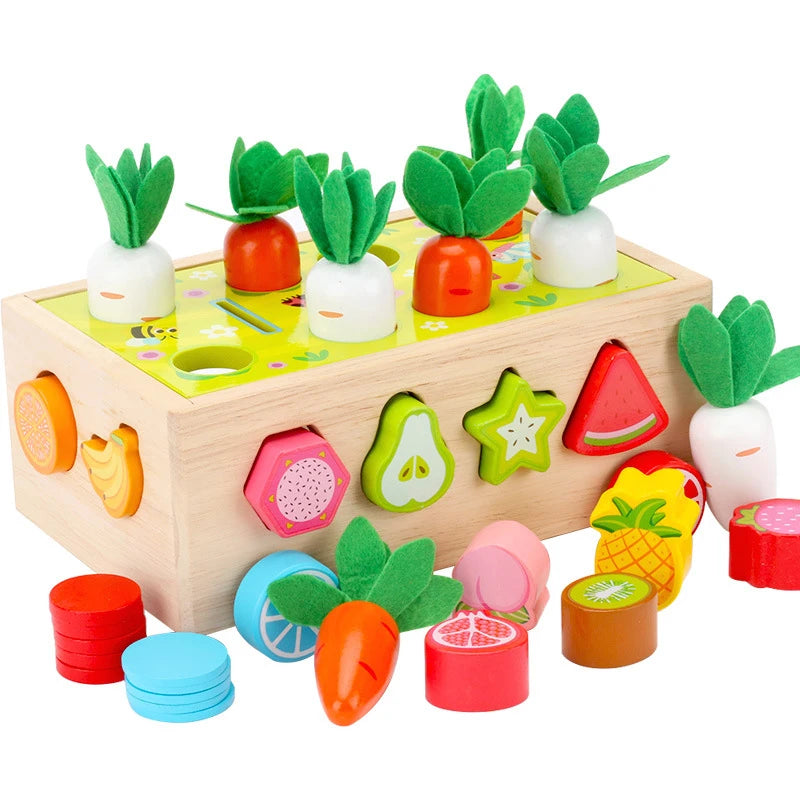 Sorting Blocks for Kids Educational Toys