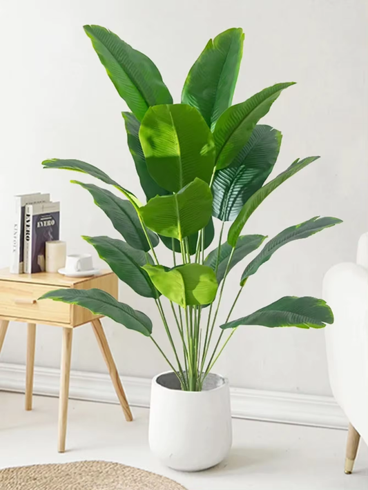 E.V.A. Home Décor All Products Plastic