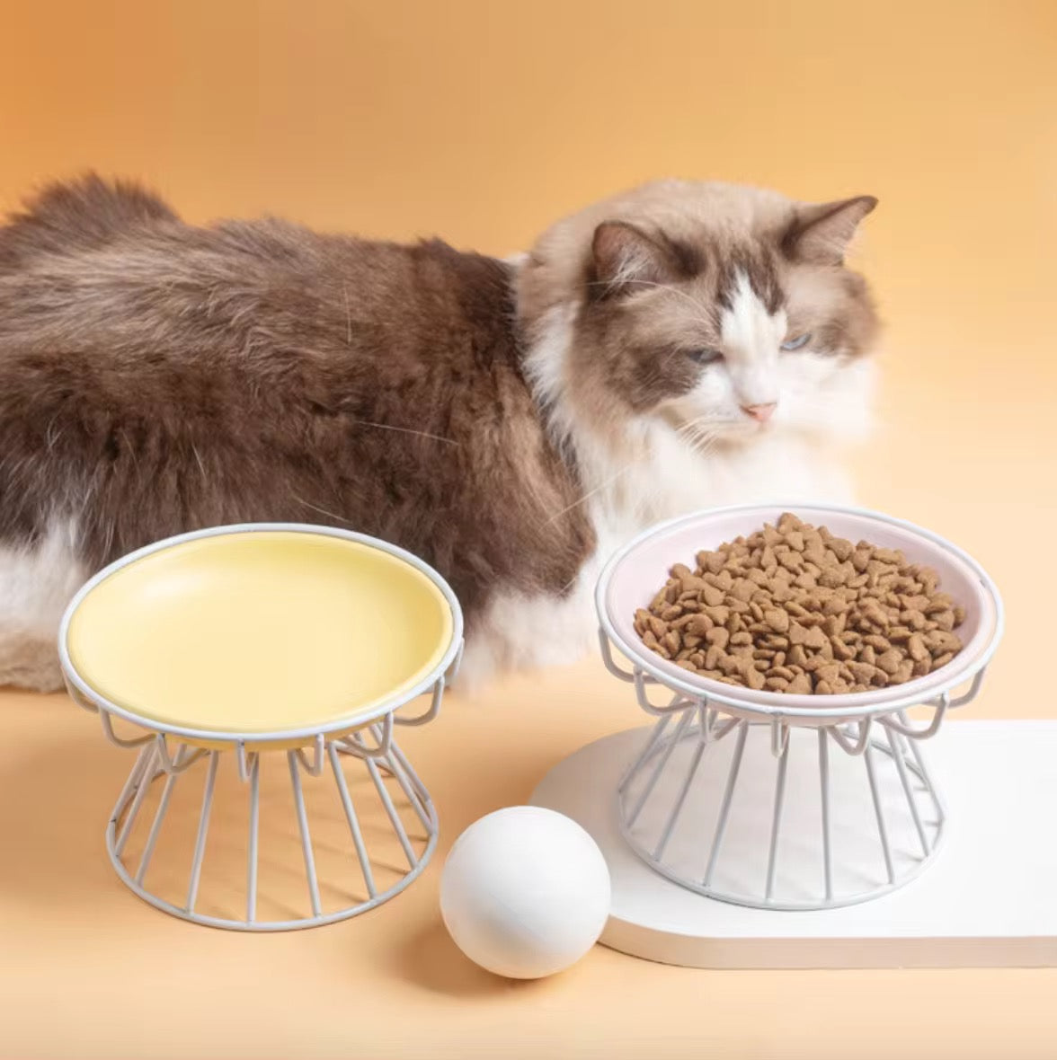 Ceramic Pet Bowls Simple Pet Bowls
