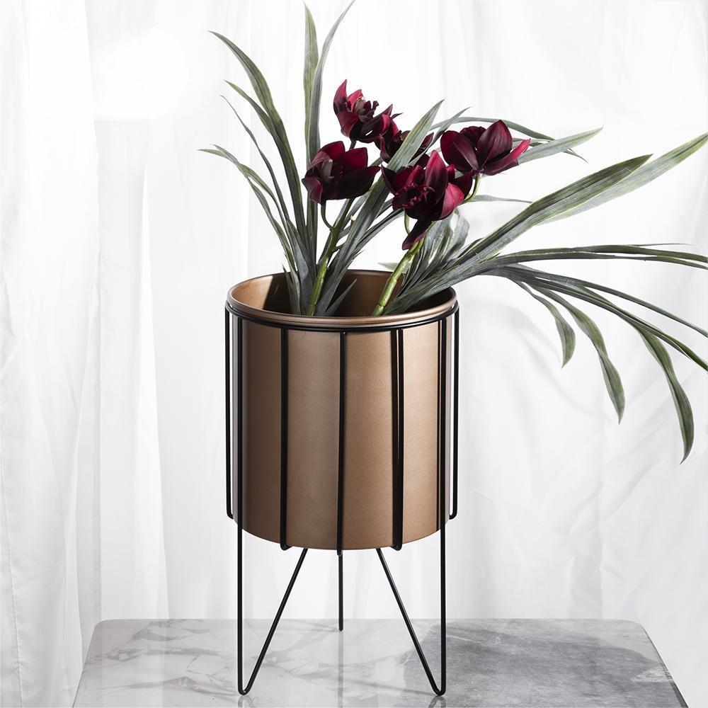 E.V.A. Home Décor All Products 
