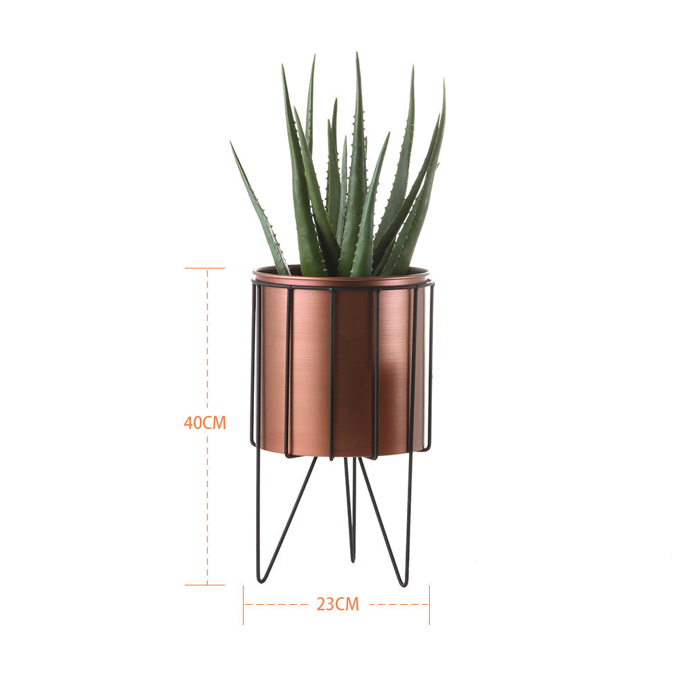 E.V.A. Home Décor All Products 
