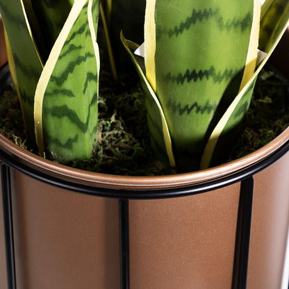 E.V.A. Home Décor All Products 