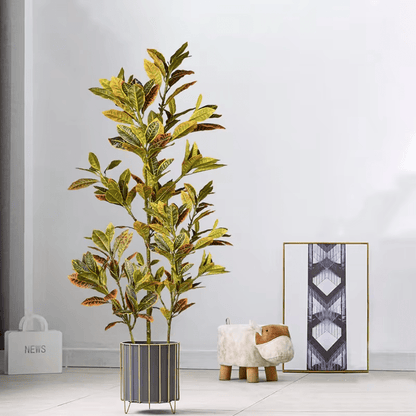 E.V.A. Home Décor All Products Plastic
