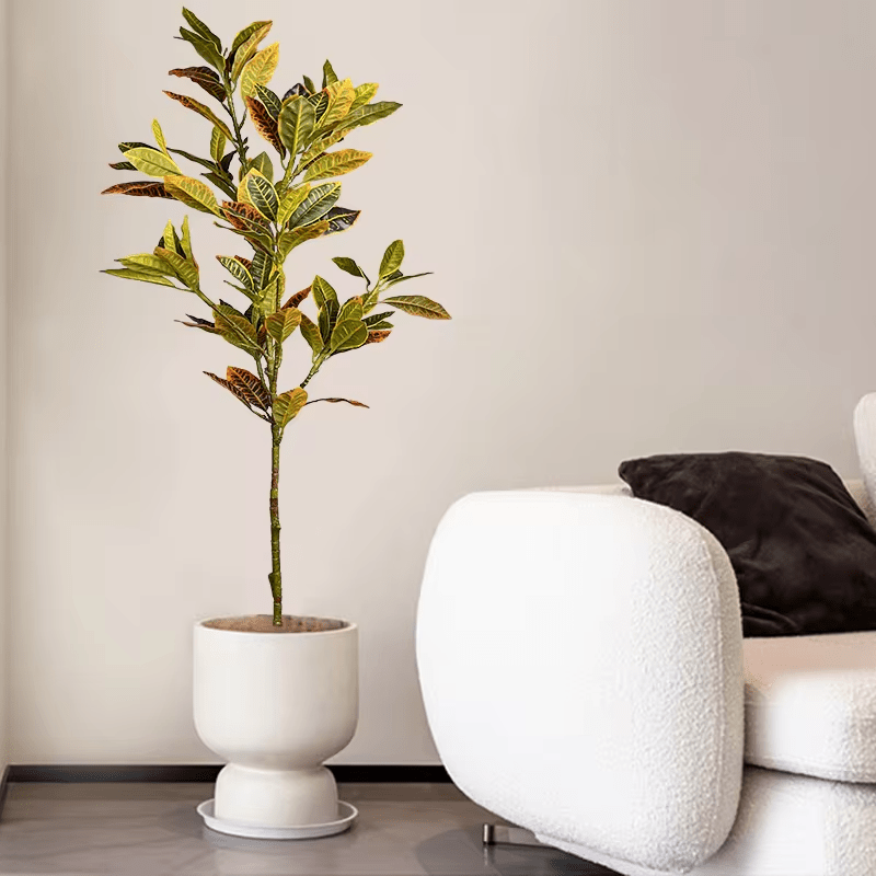 E.V.A. Home Décor All Products Plastic