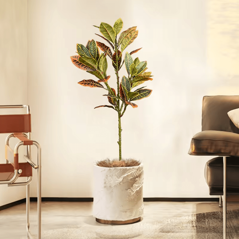 E.V.A. Home Décor All Products Plastic