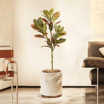 E.V.A. Home Décor All Products Plastic