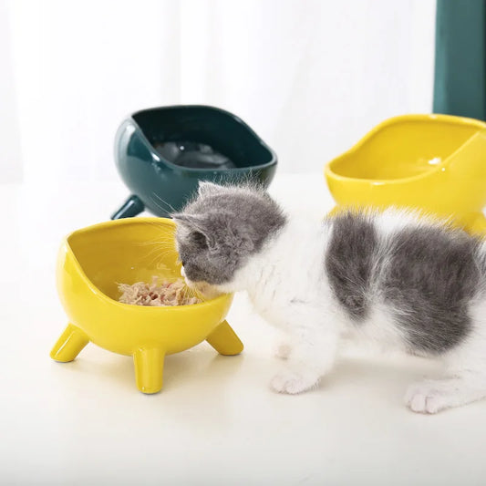 Ceramic Pet Bowl with Stand