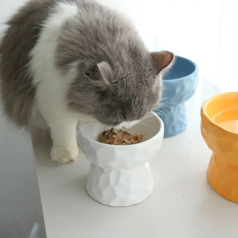 Ceramic Pet Bowls