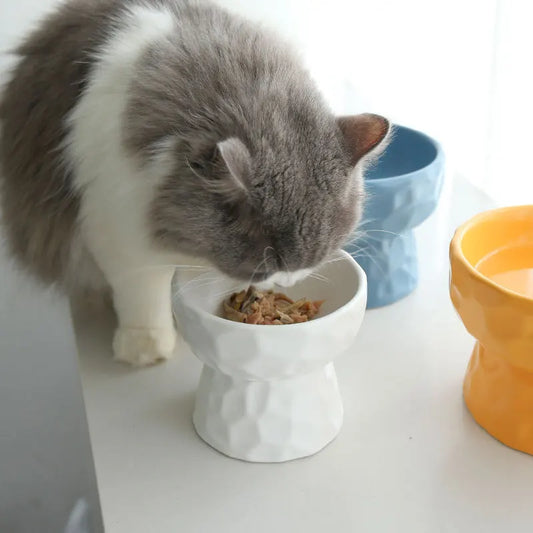 Ceramic Pet Bowls