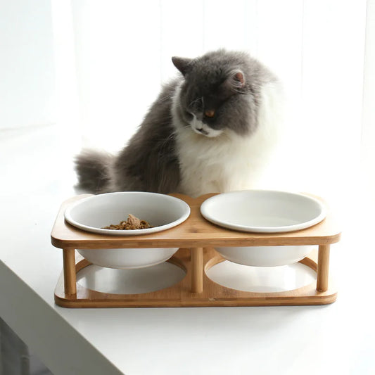 Ceramic Pet Bowl with Stand