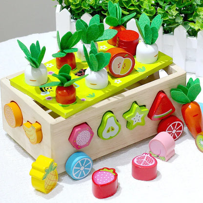 Sorting Blocks for Kids Educational Toys