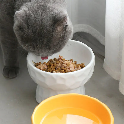 Ceramic Pet Bowls