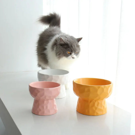 Ceramic Pet Bowls
